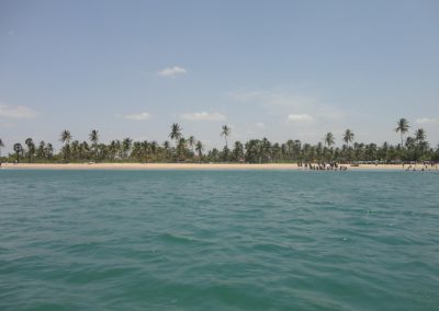 DSC03237